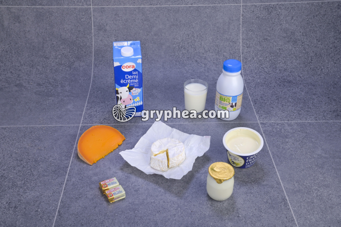 Produits laitiers (catégorie) - gryphea.com